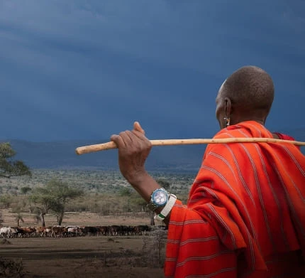 Cultural & Community Experiences