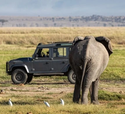 New Laptops & Desktops